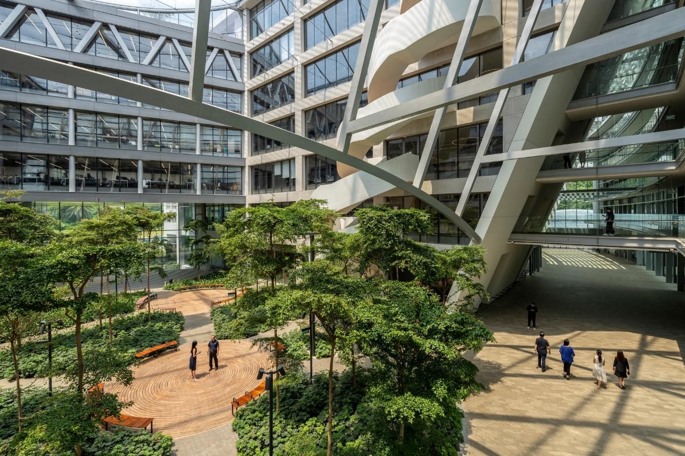 Let’s Go Talk: Transforming Schools into Green Havens